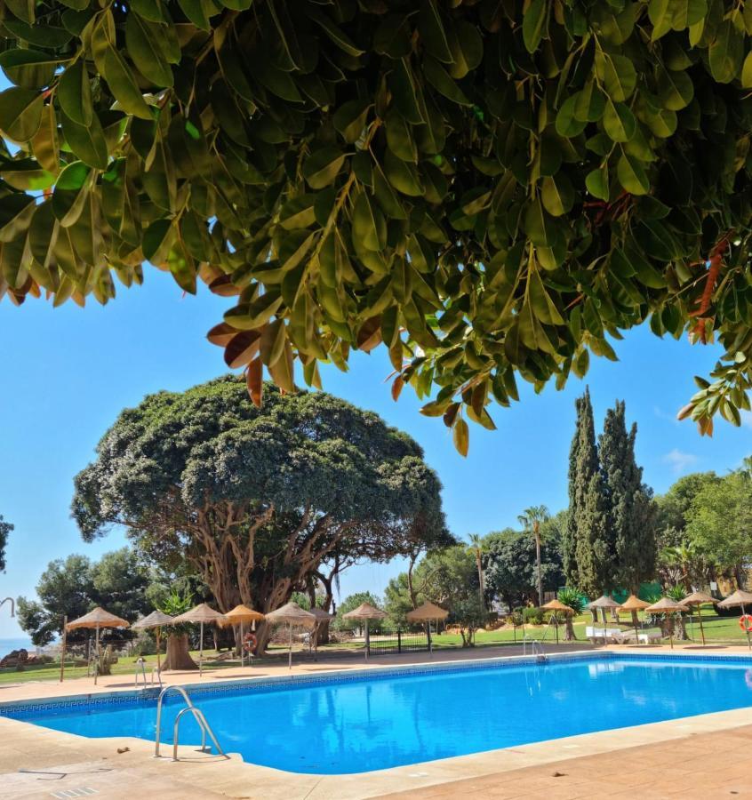 Lemon Tree Apartment Benalmadena Bagian luar foto